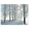 Designart - Winter Trees Backlit by Morning Sun - Large Forest Canvas Art Print